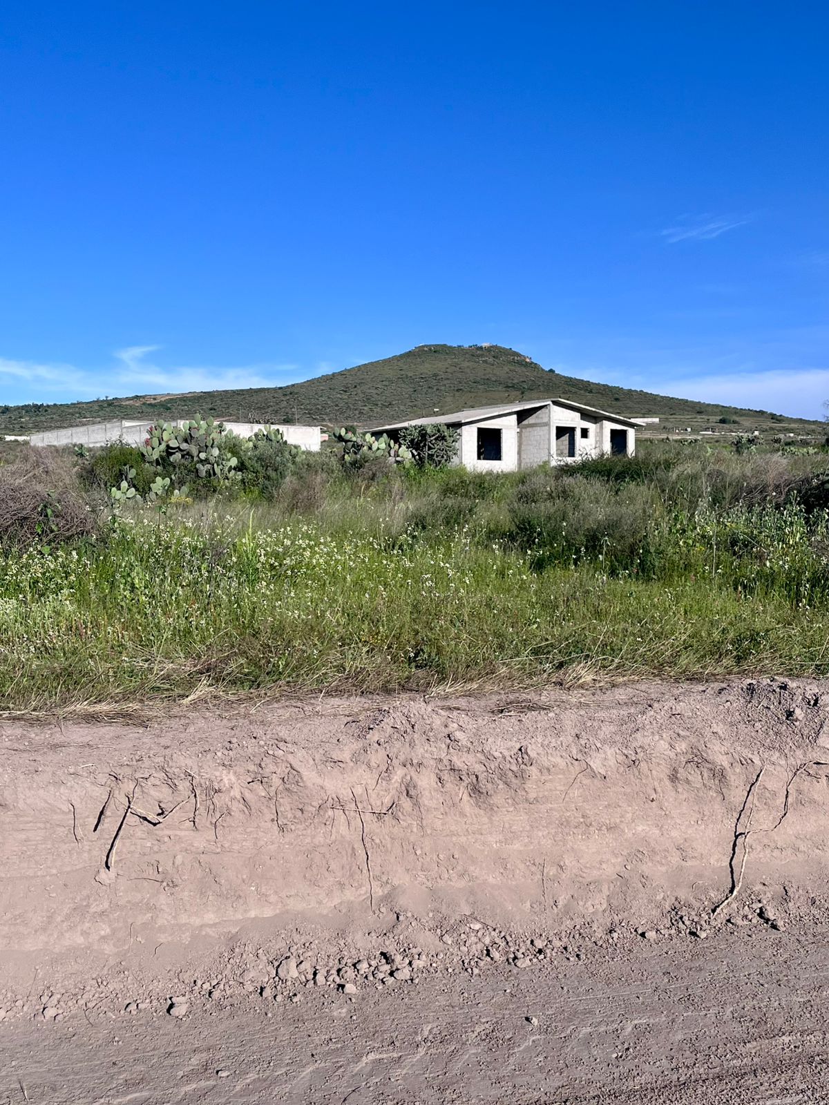 Rancho Santa Julia 11